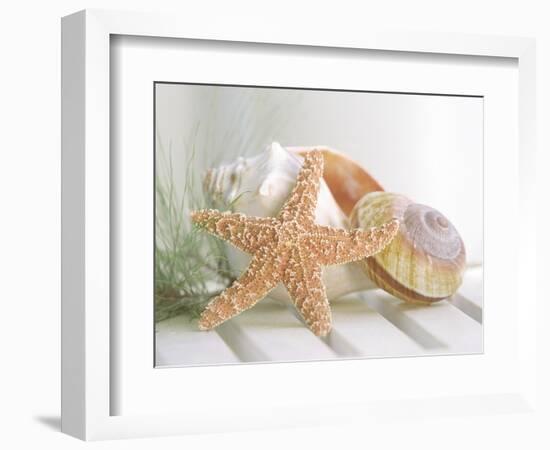 Cali Starfish II-null-Framed Art Print