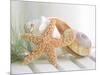 Cali Starfish II-null-Mounted Art Print