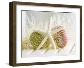 Cali Starfish III-null-Framed Premium Giclee Print