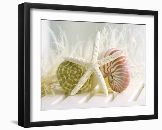 Cali Starfish III-null-Framed Premium Giclee Print