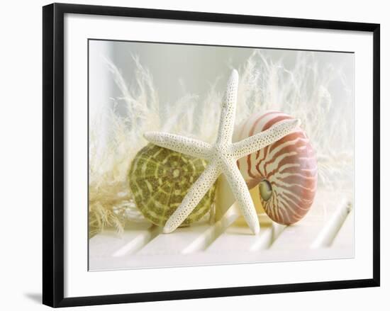 Cali Starfish III-null-Framed Art Print