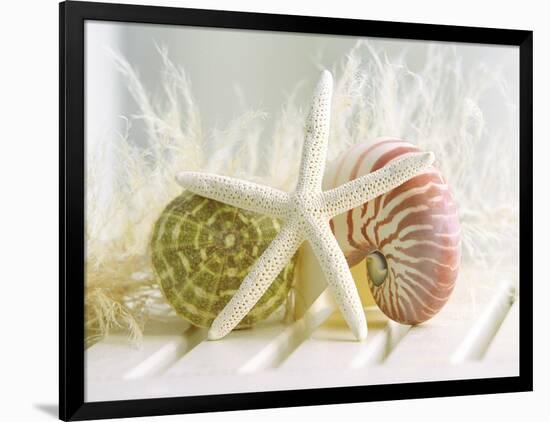 Cali Starfish III-null-Framed Art Print