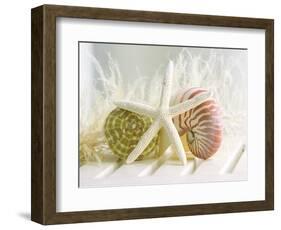 Cali Starfish III-null-Framed Art Print