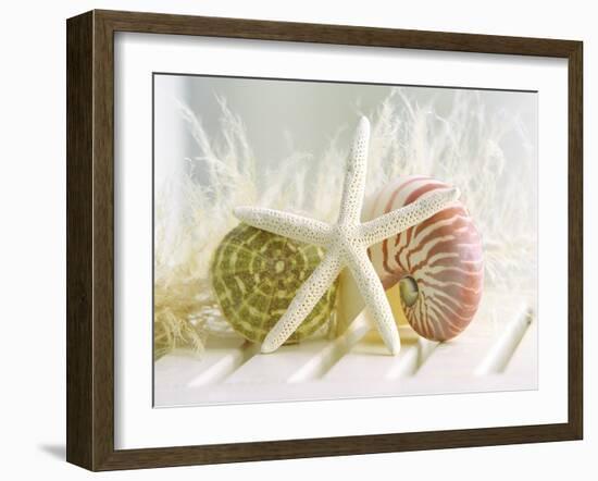 Cali Starfish III-null-Framed Art Print