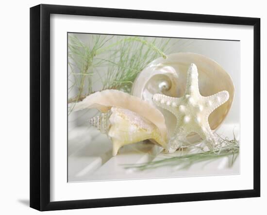 Cali Starfish IV-null-Framed Art Print