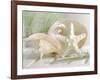 Cali Starfish IV-null-Framed Art Print