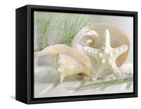 Cali Starfish IV-null-Framed Stretched Canvas