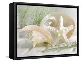 Cali Starfish IV-null-Framed Stretched Canvas