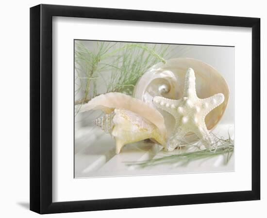 Cali Starfish IV-null-Framed Art Print