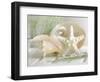 Cali Starfish IV-null-Framed Art Print