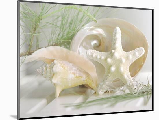 Cali Starfish IV-null-Mounted Art Print