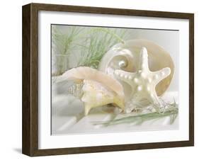 Cali Starfish IV-null-Framed Premium Giclee Print