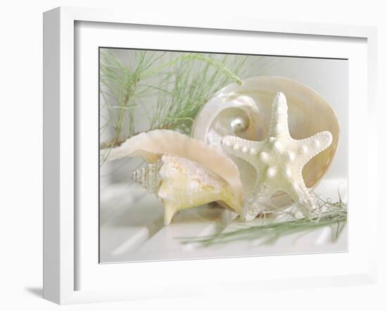 Cali Starfish IV-null-Framed Premium Giclee Print