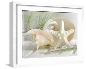 Cali Starfish IV-null-Framed Premium Giclee Print