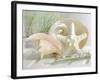 Cali Starfish IV-null-Framed Art Print