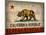 Cali State Flag License Plates-Design Turnpike-Mounted Giclee Print