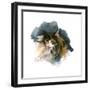 Calico Cat, 2015-John Keeling-Framed Giclee Print