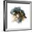 Calico Cat, 2015-John Keeling-Framed Giclee Print