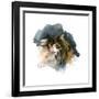 Calico Cat, 2015-John Keeling-Framed Giclee Print