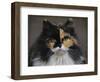 Calico Cat Portrait-Jai Johnson-Framed Giclee Print