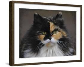 Calico Cat Portrait-Jai Johnson-Framed Giclee Print