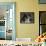 Calico Cat Portrait-Jai Johnson-Framed Stretched Canvas displayed on a wall