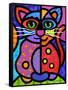 Calico Cat-Steven Scott-Framed Stretched Canvas