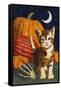 Calico Kitten & Pumpkins-Kestrel Michaud-Framed Stretched Canvas