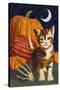 Calico Kitten & Pumpkins-Kestrel Michaud-Stretched Canvas