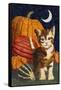 Calico Kitten & Pumpkins-Kestrel Michaud-Framed Stretched Canvas