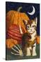 Calico Kitten & Pumpkins-Kestrel Michaud-Stretched Canvas