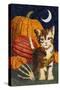 Calico Kitten & Pumpkins-Kestrel Michaud-Stretched Canvas