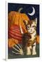 Calico Kitten & Pumpkins-Kestrel Michaud-Framed Giclee Print