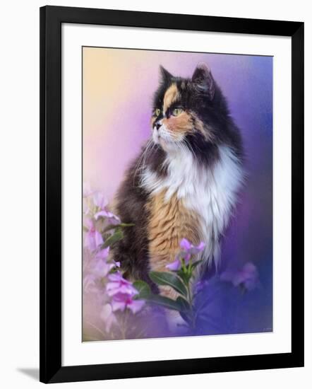 Calico Kitty in the Garden-Jai Johnson-Framed Giclee Print