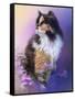 Calico Kitty in the Garden-Jai Johnson-Framed Stretched Canvas