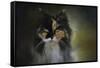 Calico Stare-Jai Johnson-Framed Stretched Canvas