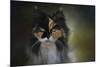 Calico Stare-Jai Johnson-Mounted Giclee Print