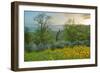 Caliente Spring II-Mark Geistweite-Framed Photographic Print