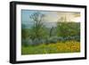 Caliente Spring II-Mark Geistweite-Framed Photographic Print