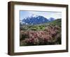 California, a Flowering Bush at the Base of the Sierra Nevada-Christopher Talbot Frank-Framed Photographic Print