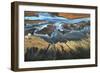 California Aerial The Desert From Above-Tanja Ghirardini-Framed Giclee Print