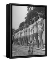 California and Florida Bathing Beauties Participating in a Contest-Peter Stackpole-Framed Stretched Canvas
