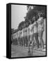 California and Florida Bathing Beauties Participating in a Contest-Peter Stackpole-Framed Stretched Canvas