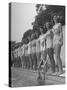 California and Florida Bathing Beauties Participating in a Contest-Peter Stackpole-Stretched Canvas