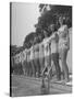 California and Florida Bathing Beauties Participating in a Contest-Peter Stackpole-Stretched Canvas