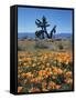 California, Antelope Valley, California Poppy and a Joshua Tree-Christopher Talbot Frank-Framed Stretched Canvas