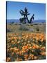 California, Antelope Valley, California Poppy and a Joshua Tree-Christopher Talbot Frank-Stretched Canvas