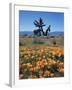 California, Antelope Valley, California Poppy and a Joshua Tree-Christopher Talbot Frank-Framed Premium Photographic Print