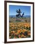 California, Antelope Valley, California Poppy and a Joshua Tree-Christopher Talbot Frank-Framed Photographic Print