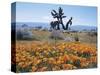 California, Antelope Valley, Joshua Trees in California Poppy-Christopher Talbot Frank-Stretched Canvas